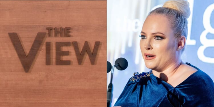 Meghan McCain Roasts Ladies on 'The View,' Calls Them Pathetic, Crazy and Old