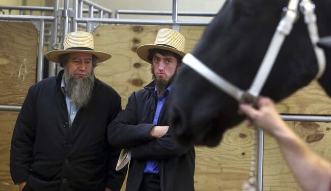 Government Regulators Are Coming for the Amish Farmer Again – PJ Media