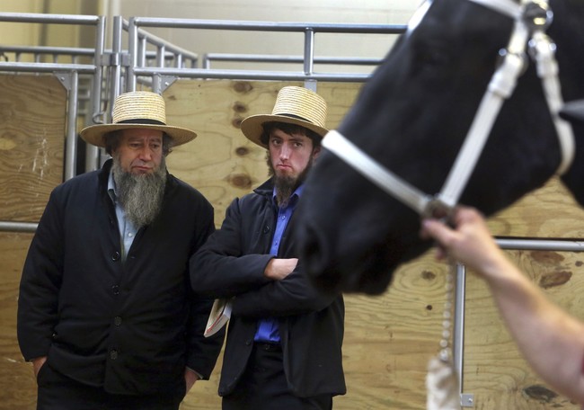 Government Regulators Are Coming for the Amish Farmer Again – PJ Media