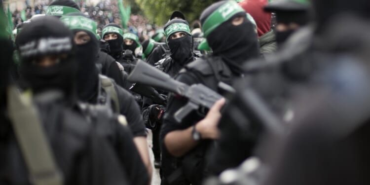 If You Say Men Give Birth, We Know Your Position on Hamas – HotAir