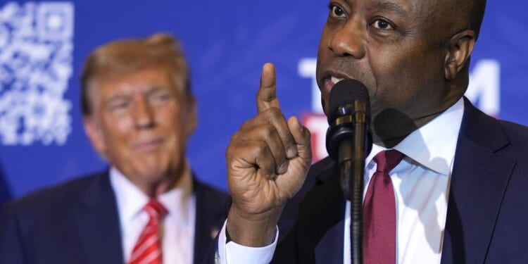 Donald Trump says Tim Scott 'must really hate' Nikki Haley to not endorse fellow South Carolinian