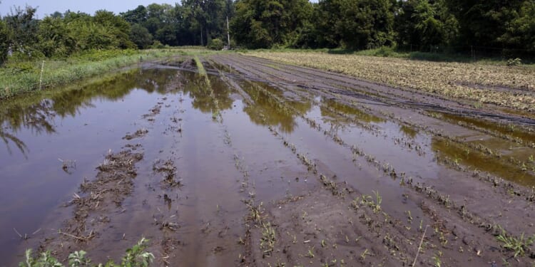 Small farmers hit by extreme weather could get assistance from proposed insurance program