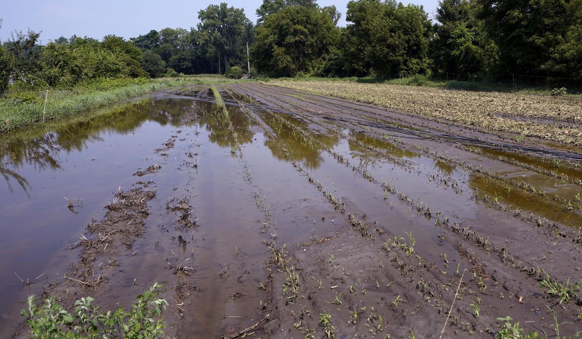 Small farmers hit by extreme weather could get assistance from proposed insurance program