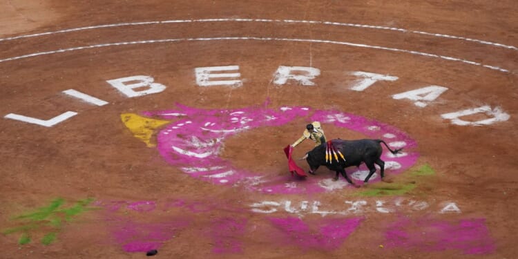 Bullfighting resumes in Mexico City despite protests