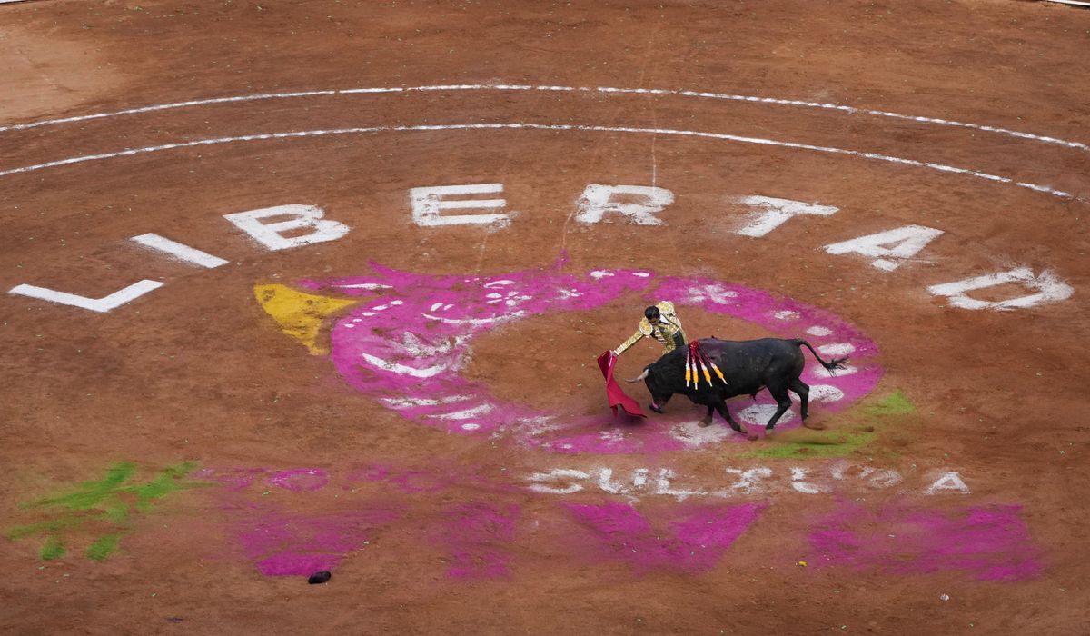 Bullfighting resumes in Mexico City despite protests