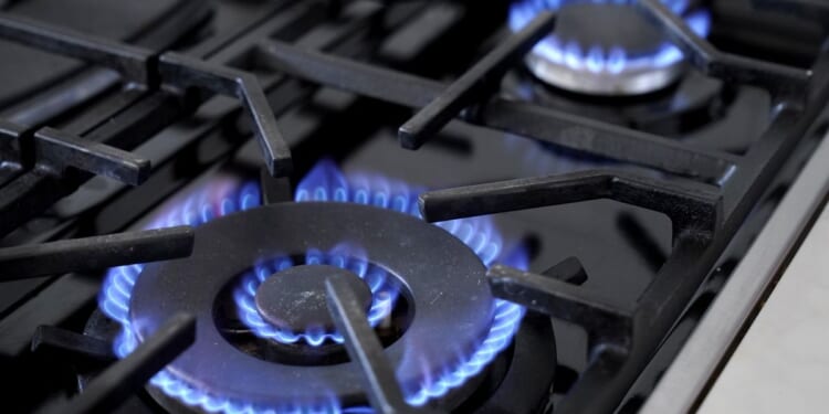 Energy Department backs down on gas stove ban, will preserve 97% of models