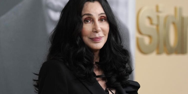 Cher denied temporary conservatorship over son Elijah Blue Allman