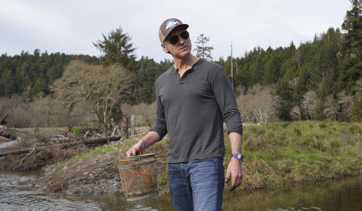 Gavin Newsom, California governor, backs dam removal projects aimed at sustaining salmon populations