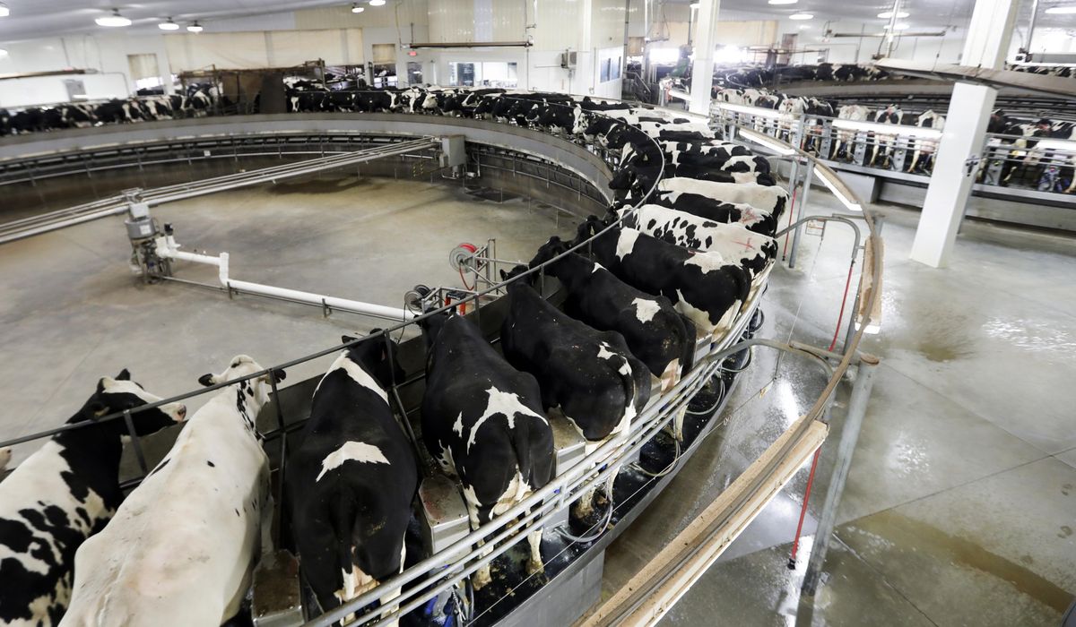 Wisconsin judge rules that regulators can force factory farms to get preemptive pollution permits