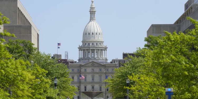 Democratic primary field set for special election that could determine control of Michigan House