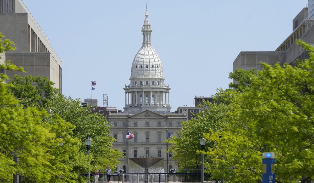 Democratic primary field set for special election that could determine control of Michigan House