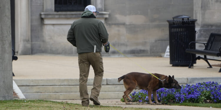 An ordinance sniffing dog patrols the grounds of the Mississippi State Capitol in Jackson, Mississippi, on Wednesday, following a bomb threat. At least six state Capitols were evacuated on Wednesday as the result of threats.