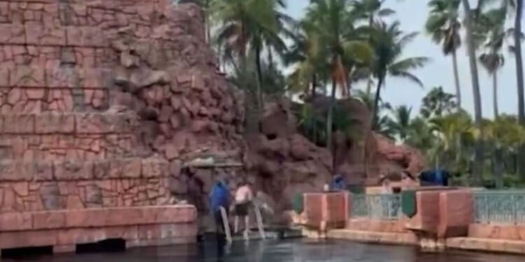 Another visitor filmed the commotion as the boy was pulled from the shark tank.