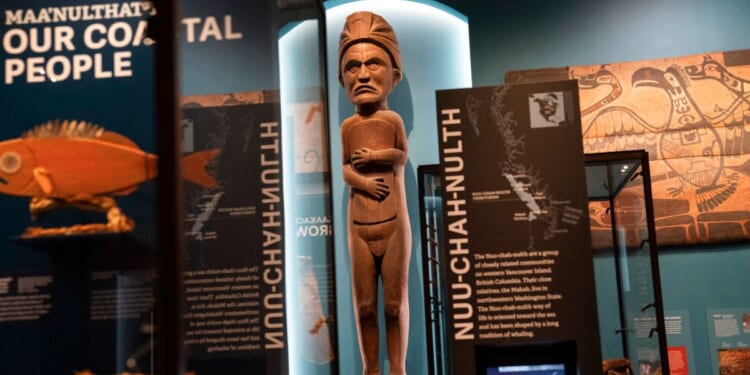 Artifacts and representations of Native American culture from the northwest coast of North America are displayed May 10, 2022, at the American Museum of Natural History in New York.