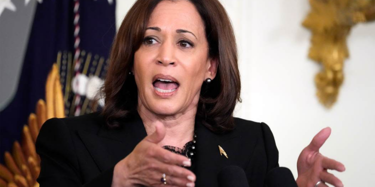 Pro-Palestinian Activists Were Denied Entry to a Kamala Harris Event, Accused the Organizers of Racism – HotAir