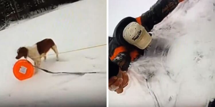 A man who fell through the ice on a frozen Michigan lake Thursday was rescued after a quick-thinking police officer used the stranded man's dog to get rescue equipment to him.