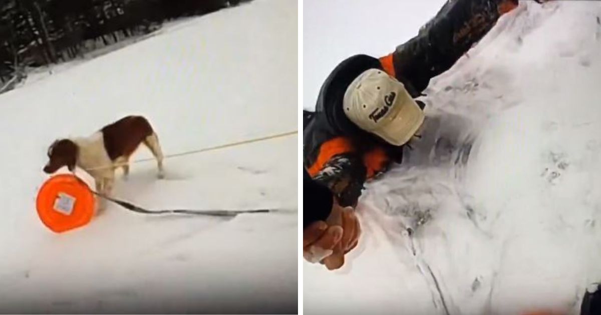 A man who fell through the ice on a frozen Michigan lake Thursday was rescued after a quick-thinking police officer used the stranded man's dog to get rescue equipment to him.