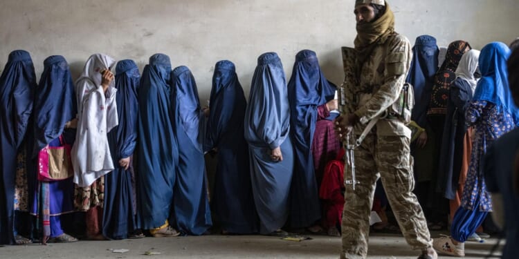 Taliban enforcing restrictions on single and unaccompanied Afghan women, says U.N. report