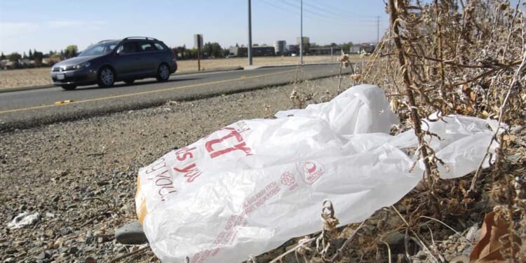 They Banned Plastic Bags and Increased Plastic Usage by 300% – HotAir