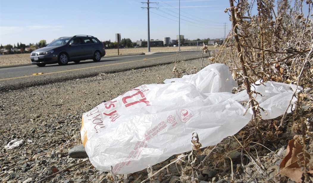 They Banned Plastic Bags and Increased Plastic Usage by 300% – HotAir