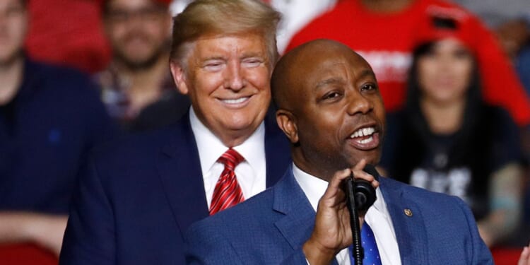 Sen. Tim Scott, R-S.C., speaks in front of President Donald Trump during a campaign rally, Feb. 28, 2020, in North Charleston, South Carolina.