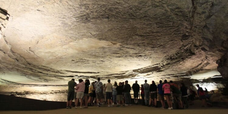 Two new species of prehistoric sharks ID'd from fossils at Mammoth Cave National Park in Ky.