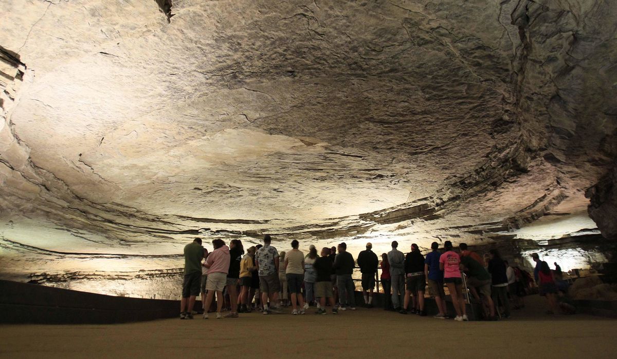 Two new species of prehistoric sharks ID'd from fossils at Mammoth Cave National Park in Ky.