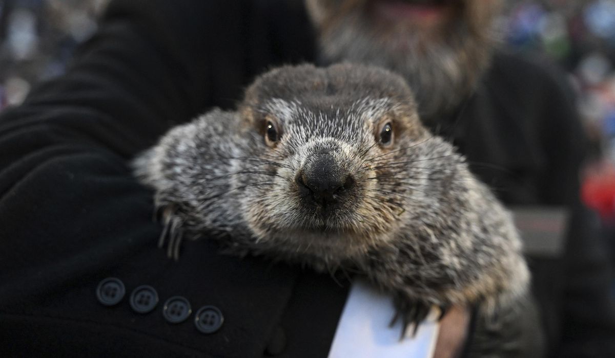 Groundhog Day: Punxsutawney Phil predicts an early spring