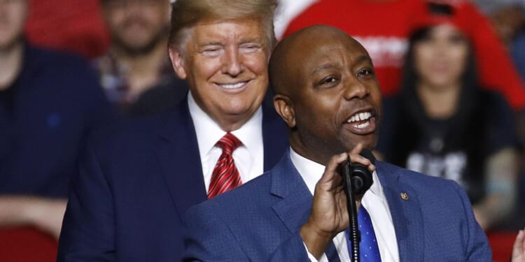 Donald Trump name checks Tim Scott, Kristi Noem as potential vice president picks