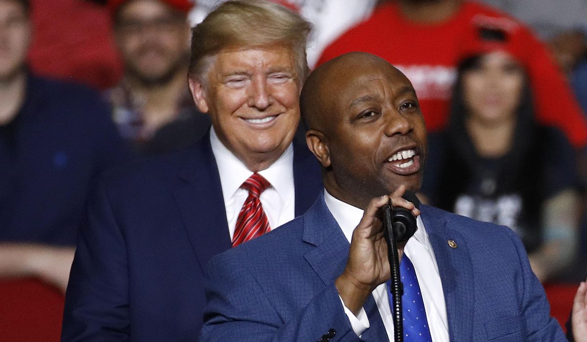 Donald Trump name checks Tim Scott, Kristi Noem as potential vice president picks