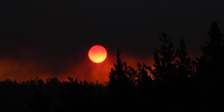 At least 64 people die in Chile amid raging forest fires