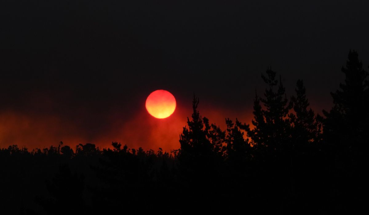 At least 64 people die in Chile amid raging forest fires