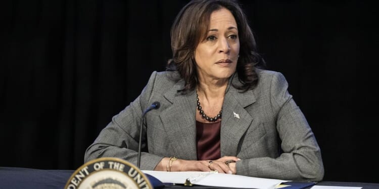 Immigration deal gets tepid thumbs-up from Border Czar Kamala Harris