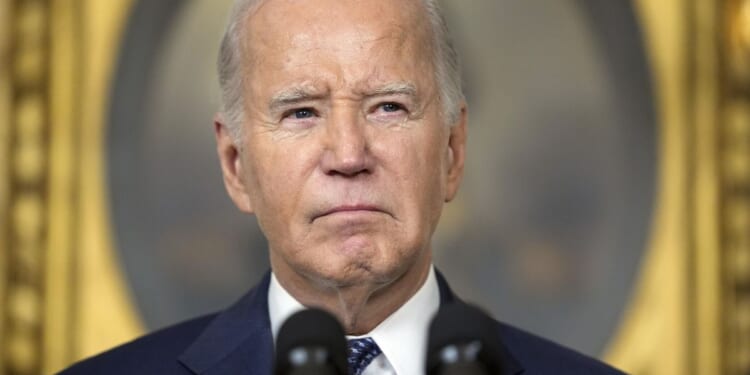 Joe Biden pushes back against Robert Hur report: 'I know what the hell I'm doing'