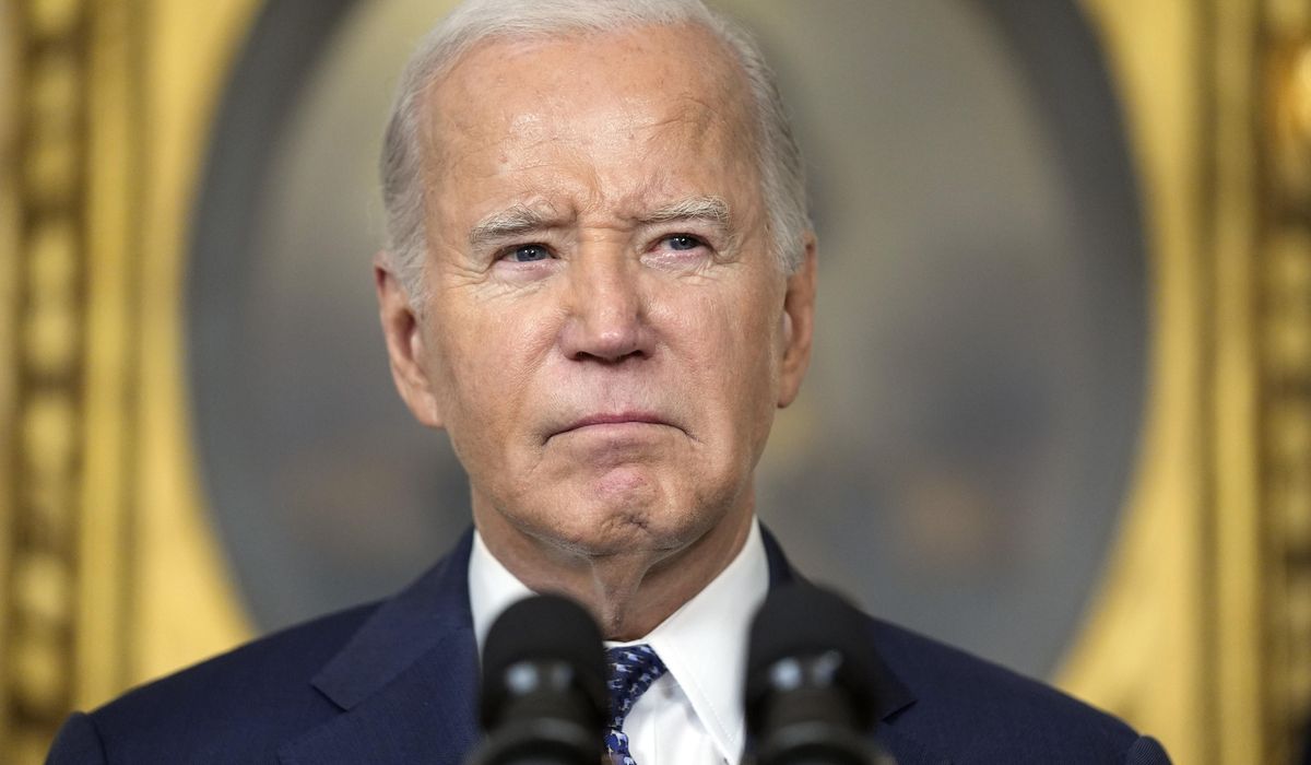 Joe Biden pushes back against Robert Hur report: 'I know what the hell I'm doing'