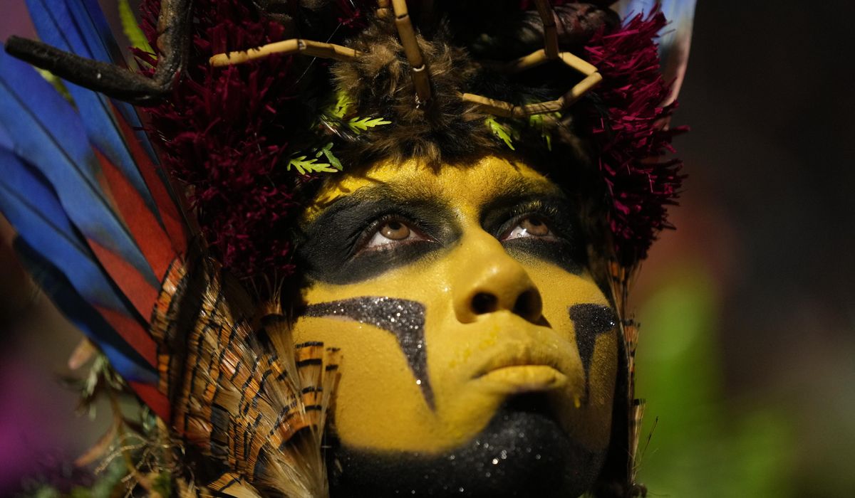 Carnival parade in Rio makes urgent plea to stop illegal mining in Indigenous lands