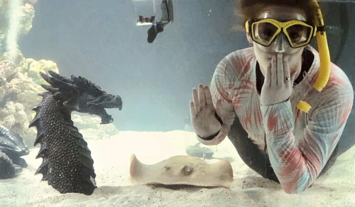 Stingray with no male companion is pregnant in her mountain aquarium