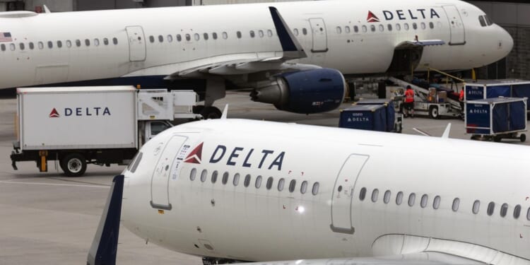 A carry-on with rotting fish pours maggots on Delta passengers