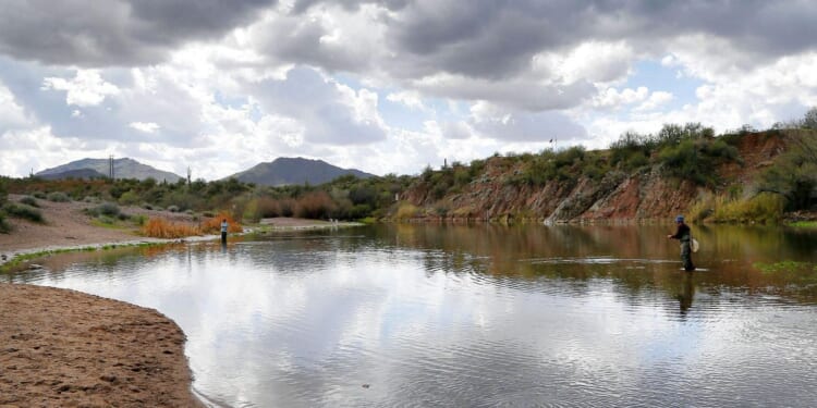 Fake alligator put in Mesa, Arizona's Riverview Park park by local officials stumps residents