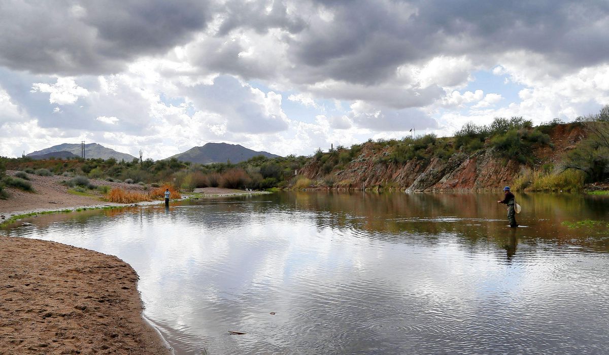 Fake alligator put in Mesa, Arizona's Riverview Park park by local officials stumps residents