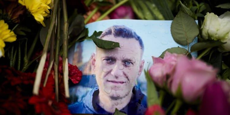 Return Alexei Navalny's body to his family, famous Russians urge the authorities