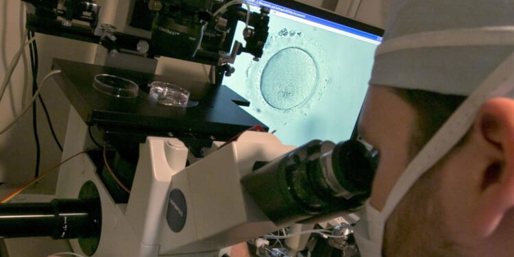 Alabama lawmakers, facing backlash over IVF ruling, look for a fix