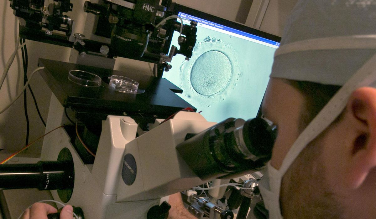 Alabama lawmakers, facing backlash over IVF ruling, look for a fix