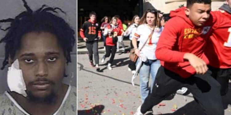 Lyndell Mays reportedly told police he was "just being stupid" when he allegedly pulled out a gun and started firing into a crowd watching the Kansas City Chiefs' Super Bowl victory parade.