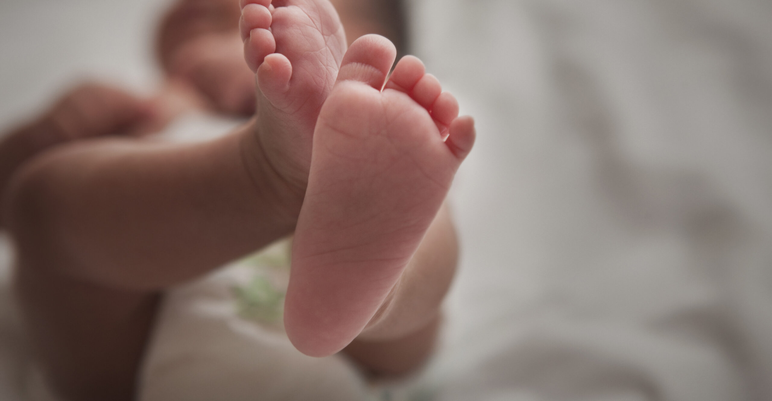 D.C. Medical Examiner Will Not Immediately Destroy Baby Bodies