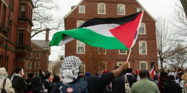 According to the Harvard Crimson, more than 30 pro-Palestinian Harvard students participated in a 12-hour hunger strike Friday in solidarity with students at Brown University pressuring the Brown Corporation to divest from Israel. The short hunger strike was widely mocked on social media.