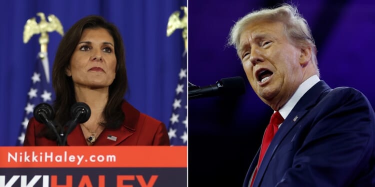 Former South Carolina Gov. Nikki Haley, left; former President Donald Trump, right.