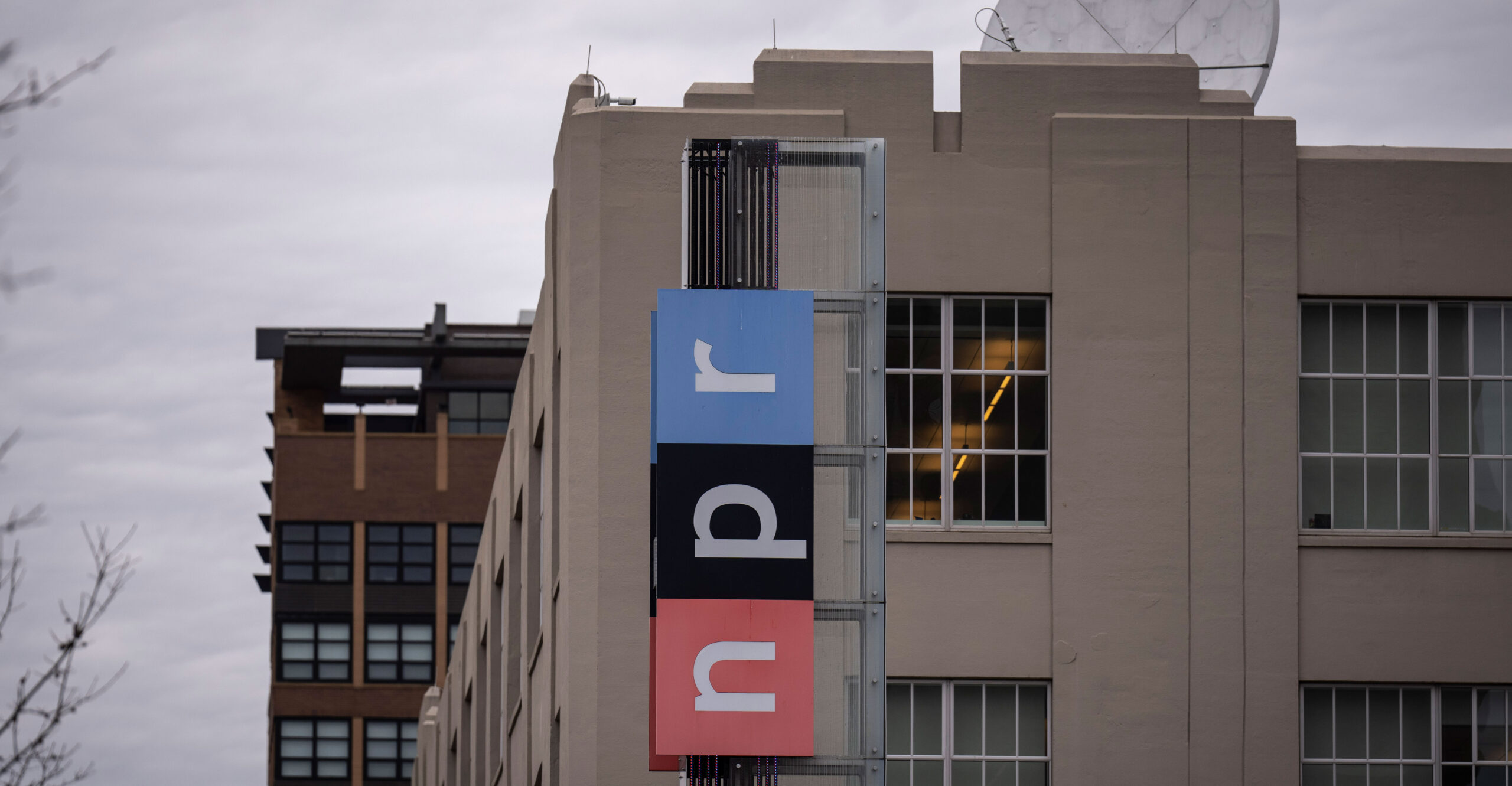 NPR Again Points Finger in Mirror in Decrying Media 'Propaganda'