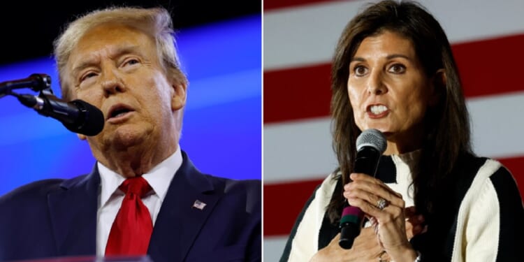 Former President Donald Trump, left; former United Nations Ambassador Nikki Haley, right.