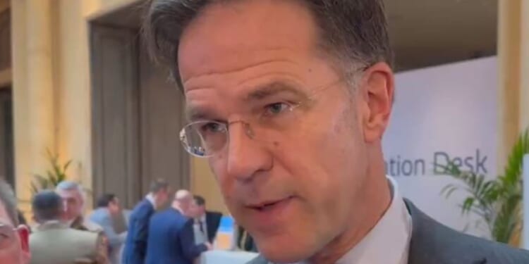 Prime Minister of the Netherlands, Mark Rutte, told his colleagues on Saturday that they should stop fixating on former President Donald Trump and get to work to make Europe, including Ukraine, secure.